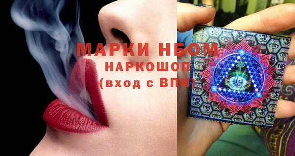 гашик Алексин