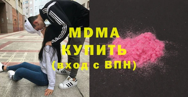 гашик Алексин