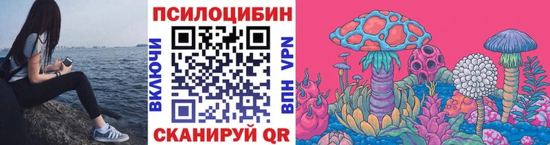 Псилоцибиновые грибы мицелий  mega маркетплейс  Урюпинск 